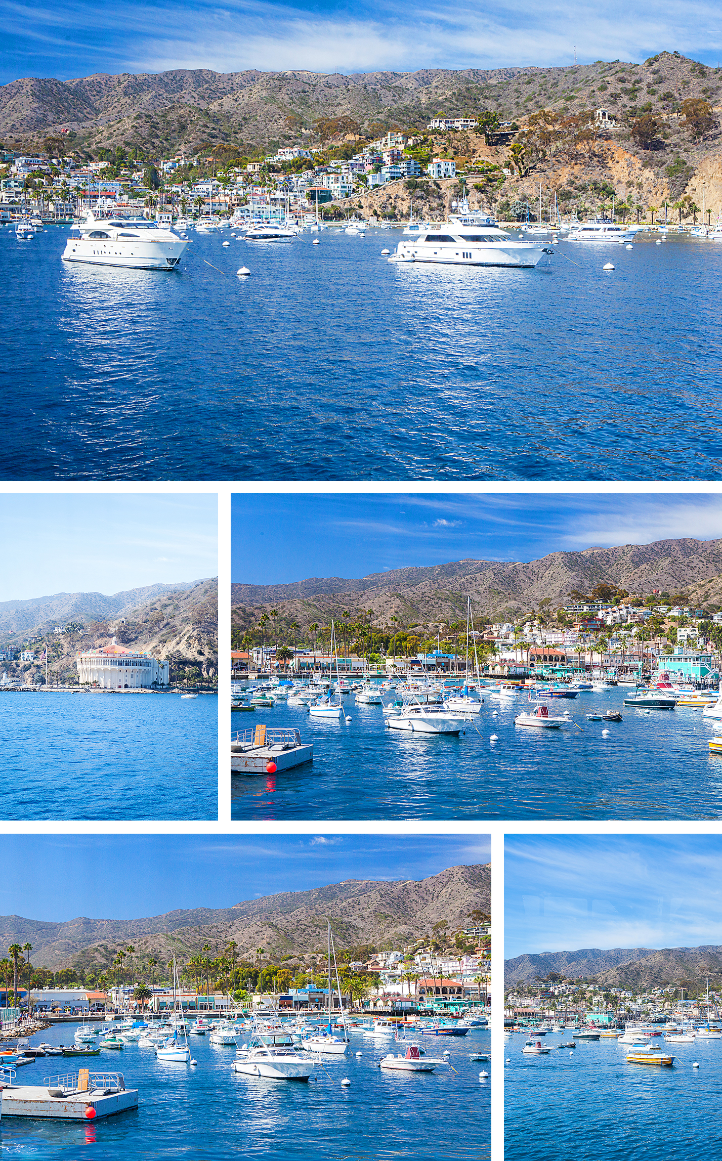 catalina island, catalina express, taste of catalina food tour, avalon