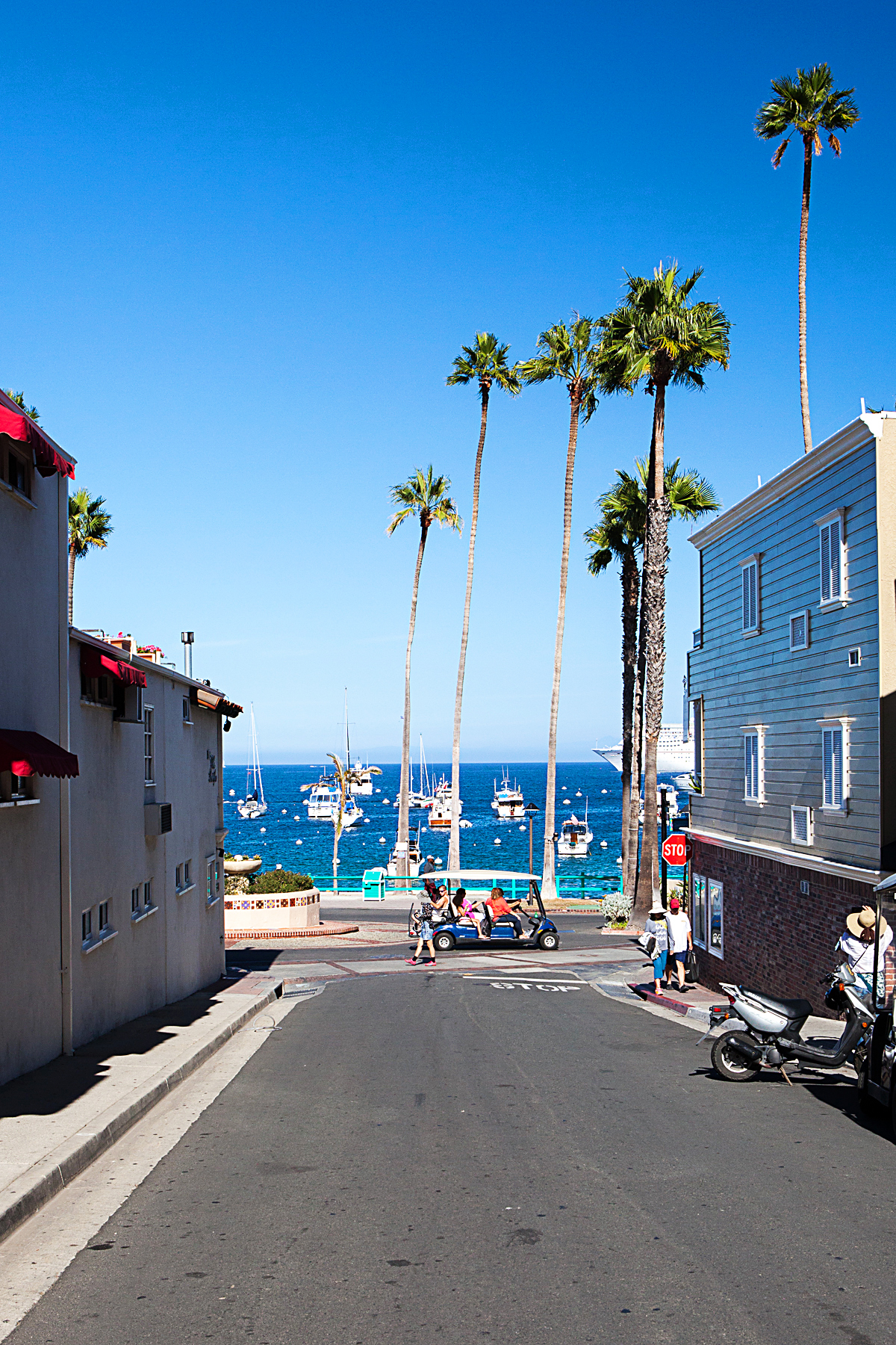 catalina island, catalina express, taste of catalina food tour, avalon