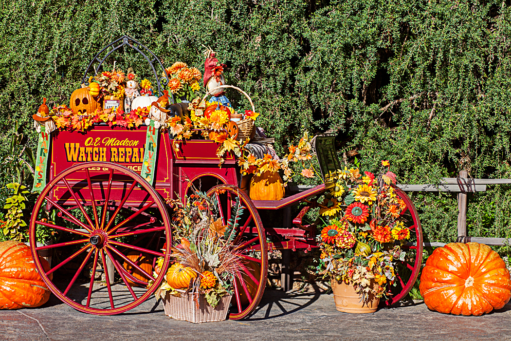 Disneyland Halloween Time