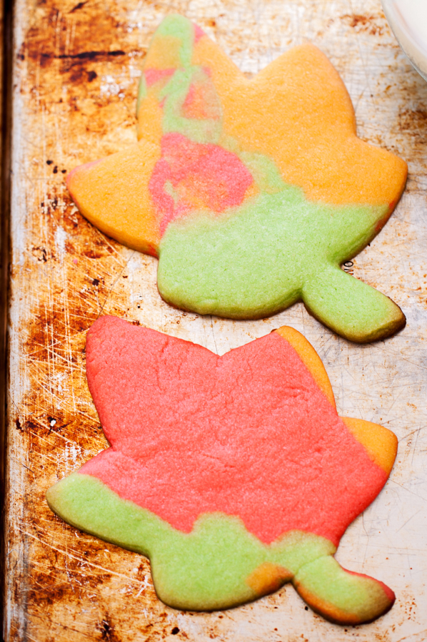 sugar cookies, fall, leaves, holiday baking, autumn