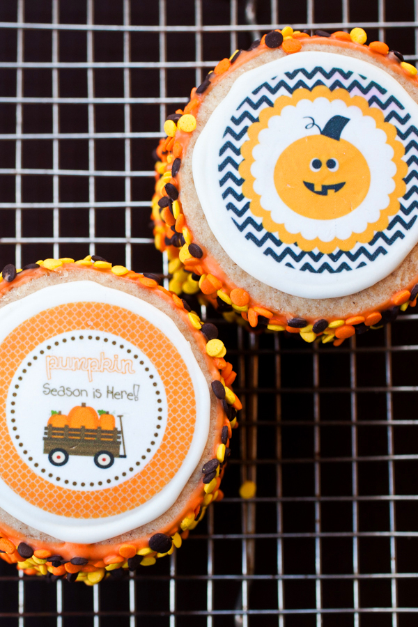  zazzle, halloween, cookies