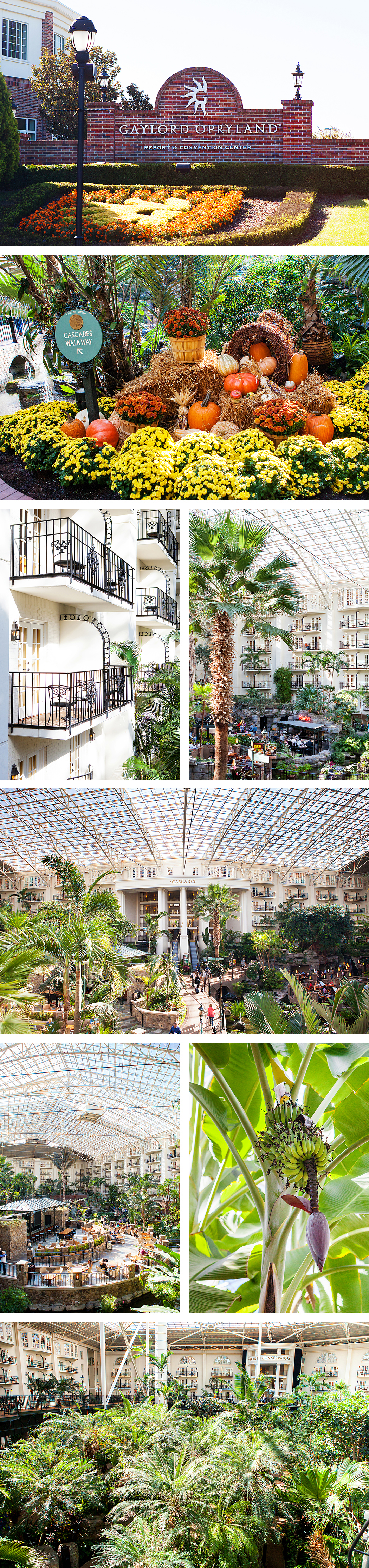 Gaylord Opryland Resort & Convention Center | Nashville, Tennessee