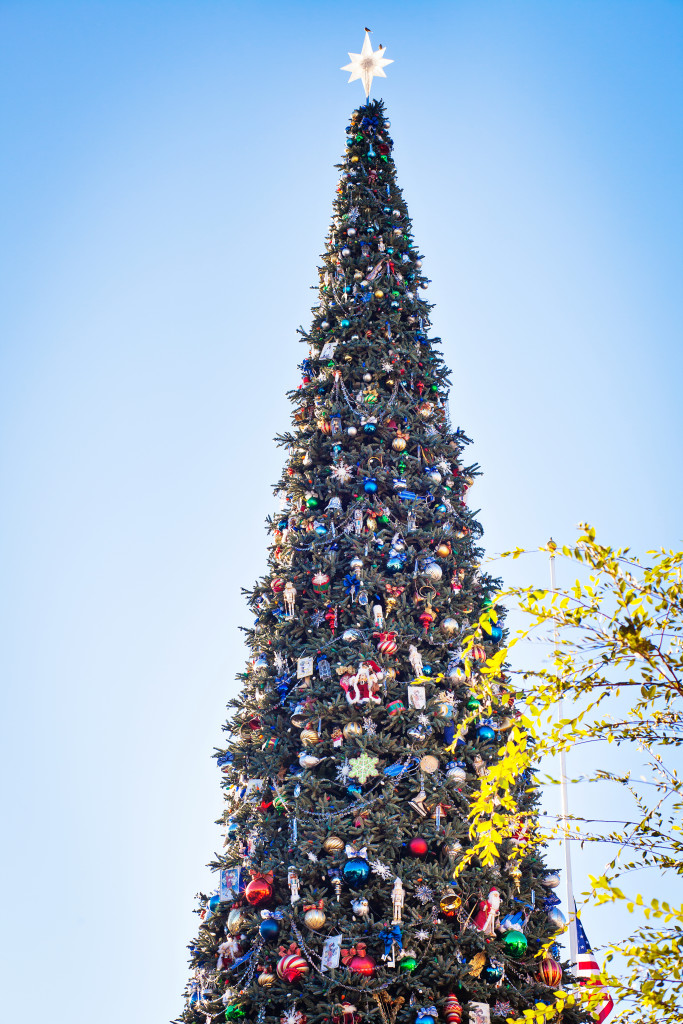 Disney Details: Holidays at the Disneyland Resort