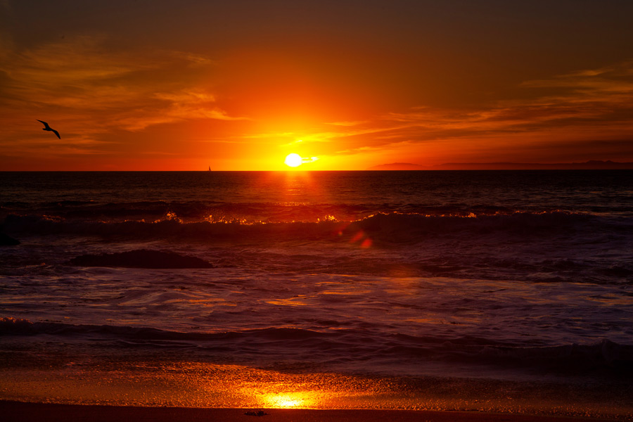 A Walk at Sunset at Laguna Beach 