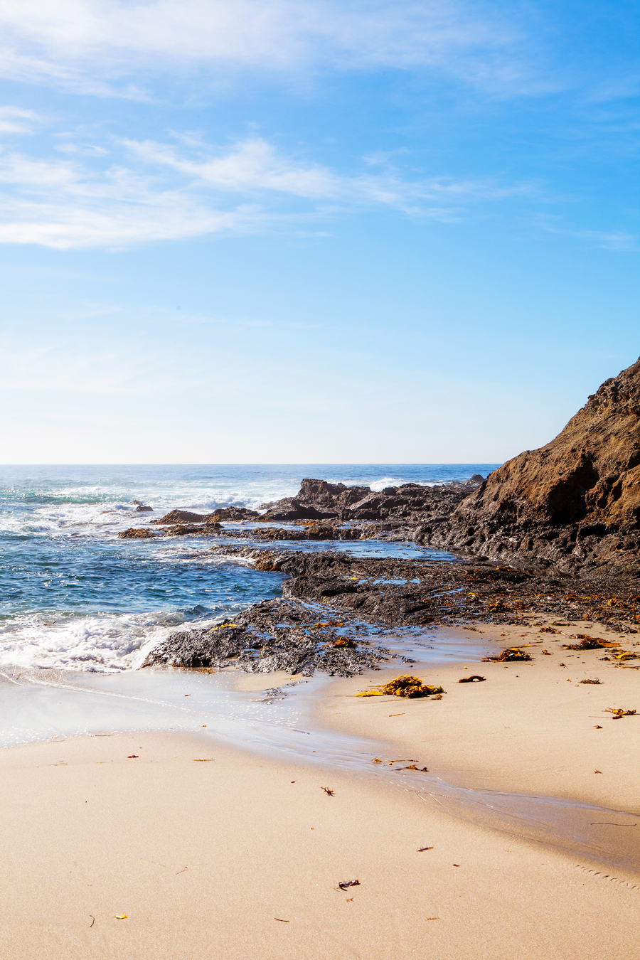 Laguna Beach: A Stroll along the Coast