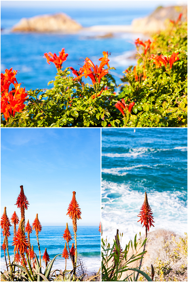 Laguna Beach: A Stroll along the Coast