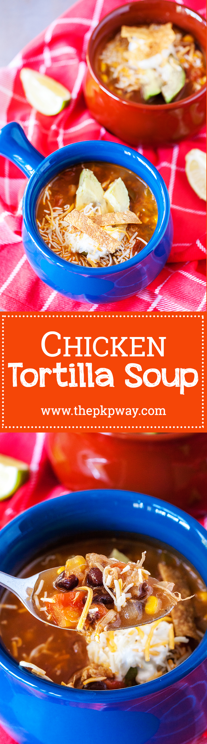 Chicken Tortilla Soup - One batch is not enough!