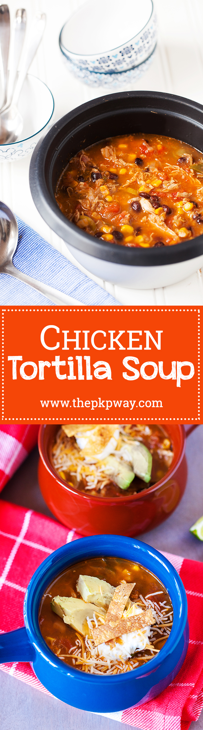 Chicken Tortilla Soup - One batch is not enough!