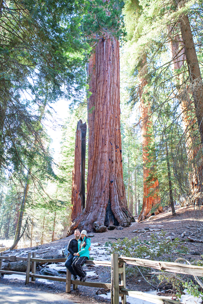 Winter in Sequoia & Kings Canyon National Parks