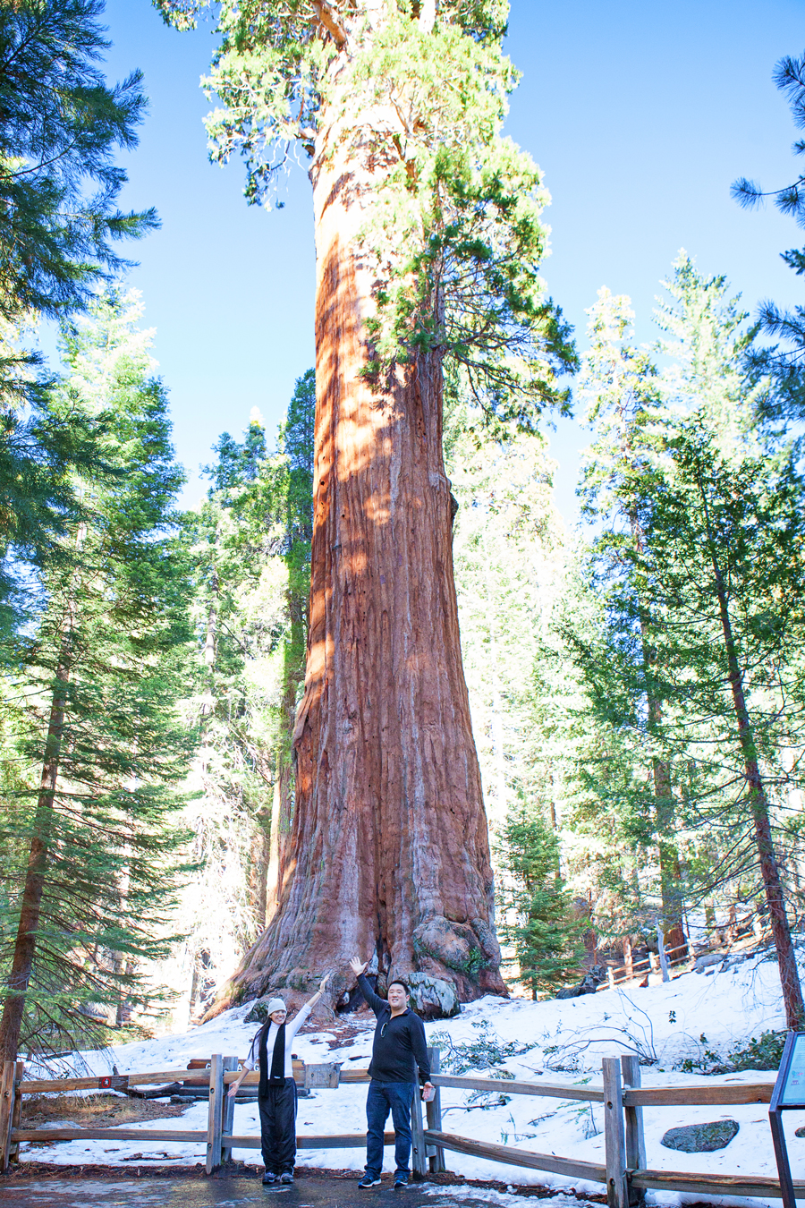 Winter in Sequoia & Kings Canyon National Parks