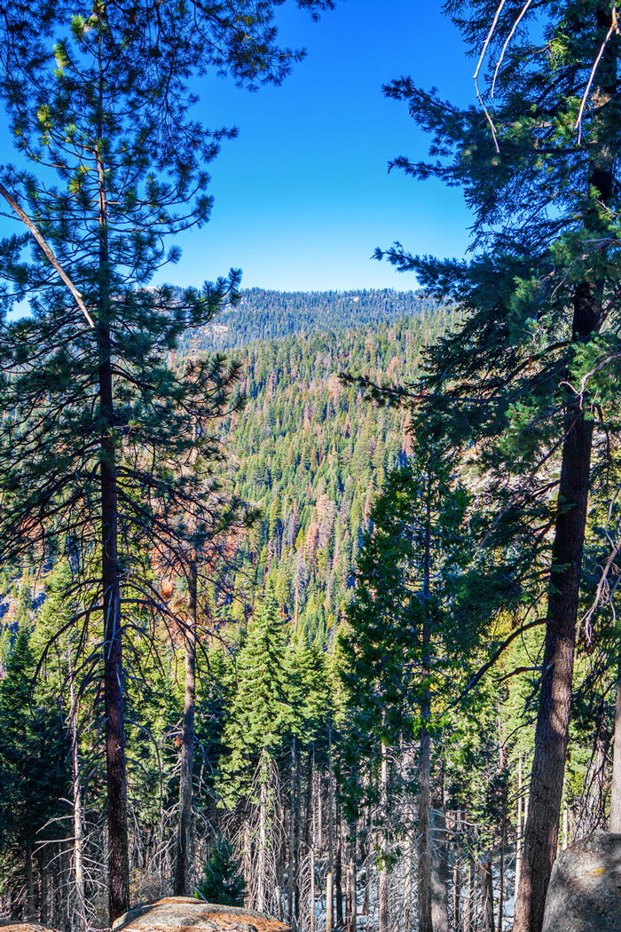 Sequoia and Kings Canyon National Park