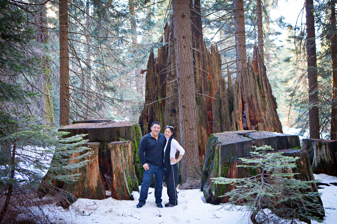 Winter in Sequoia & Kings Canyon National Parks