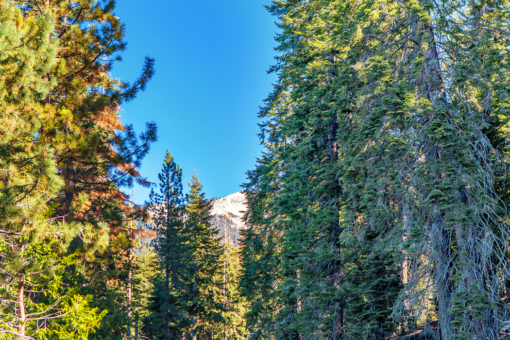 Sequoia and Kings Canyon National Park