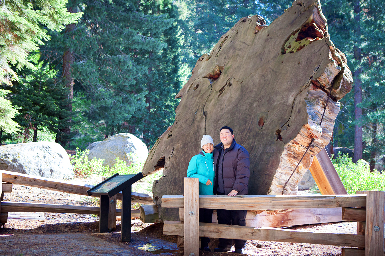 Sequoia and Kings Canyon National Park