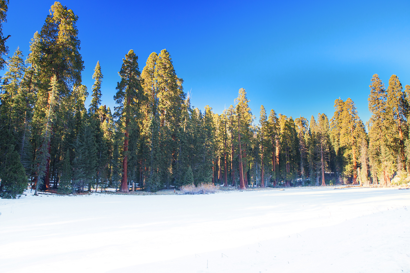 Sequoia and Kings Canyon National Park