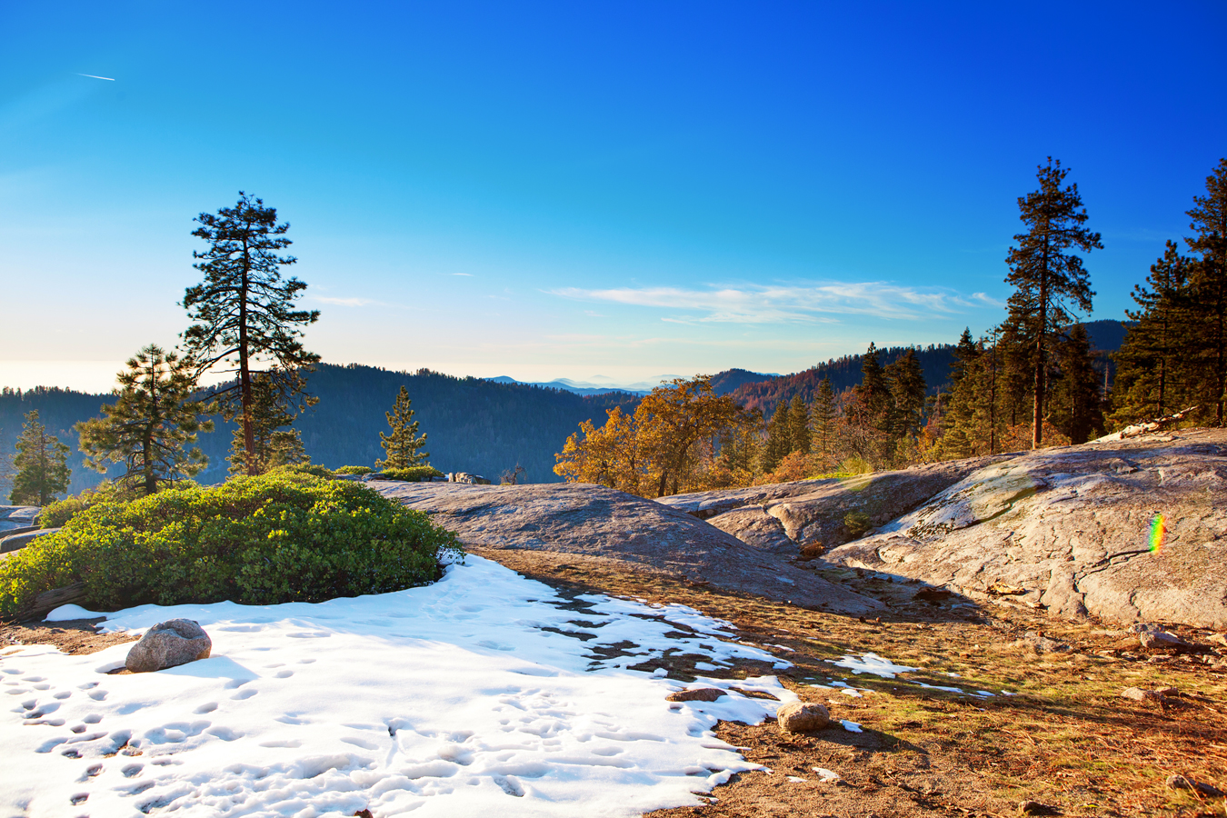 Sequoia and Kings Canyon National Park