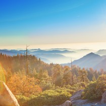 Sequoia and Kings Canyon National Park