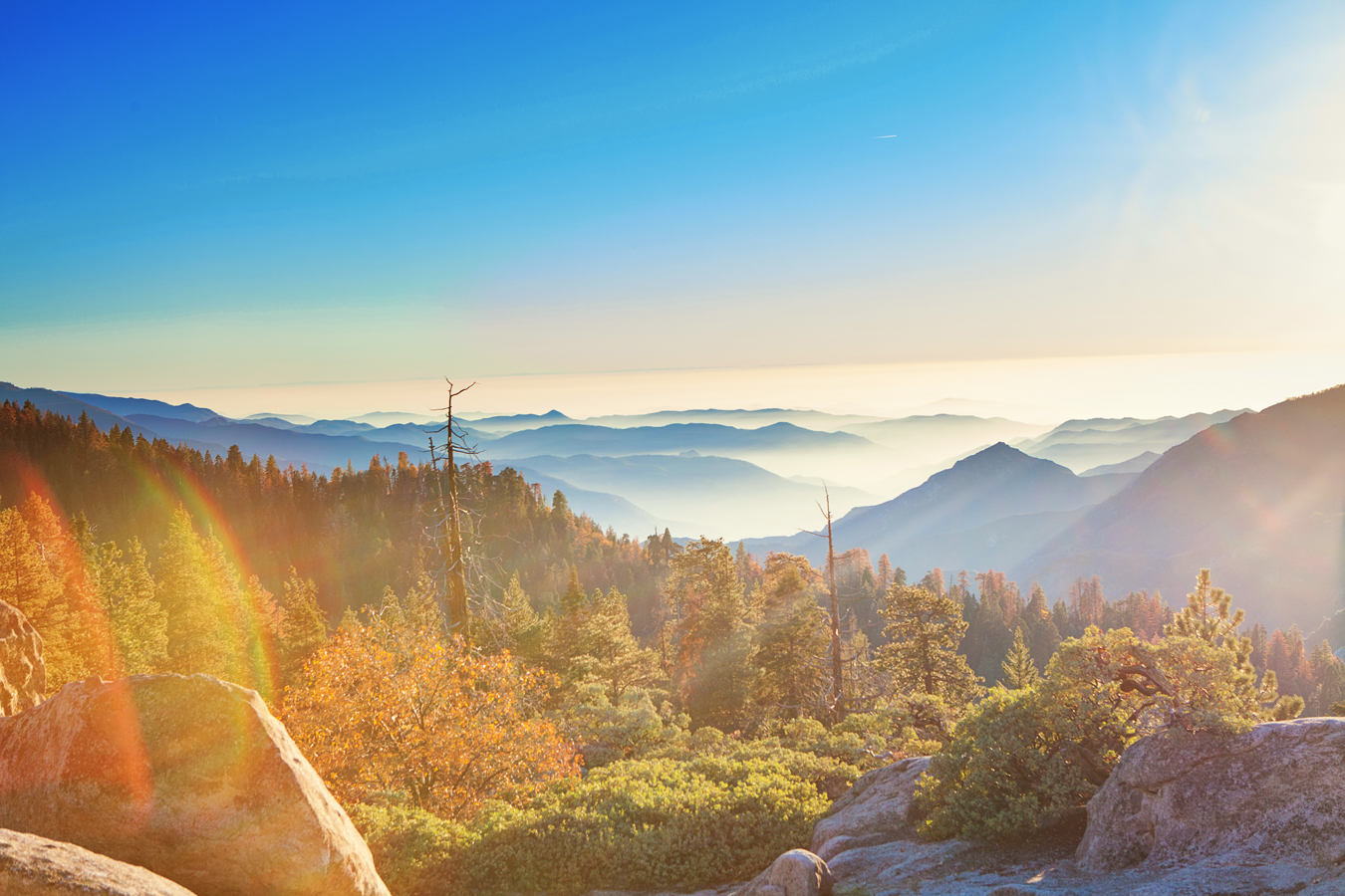 Sequoia and Kings Canyon National Park