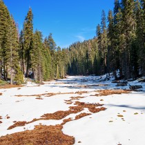 Winter in Sequoia & Kings Canyon National Parks