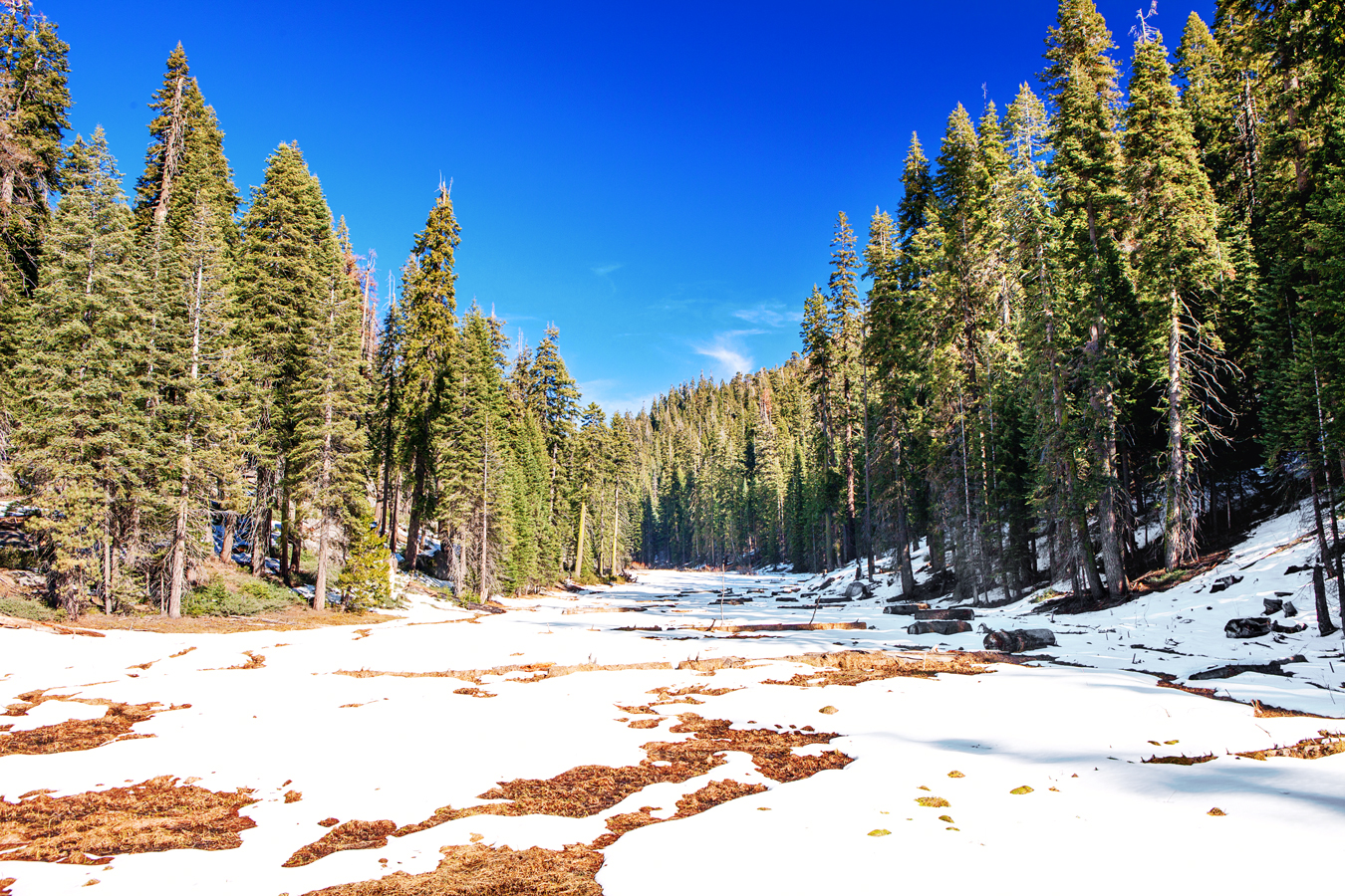 Winter in Sequoia & Kings Canyon National Parks