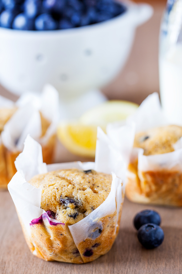 These blueberry lemon muffins are ultra moist, have a punch of lemon flavor, and pops of juicy blueberries in every bite. 