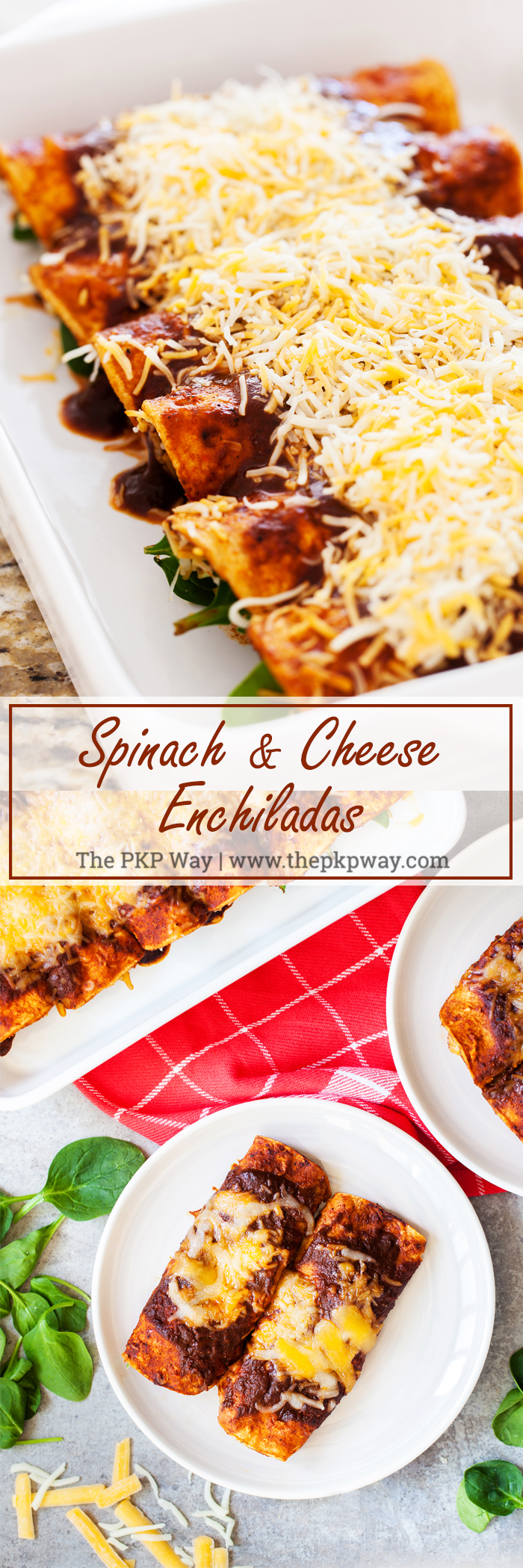 Spinach and cheese enchiladas are a healthier twist on a Mexican favorite. Spinach and cheese filling wrapped in a corn tortilla and doused with an authentic red enchilada sauce.