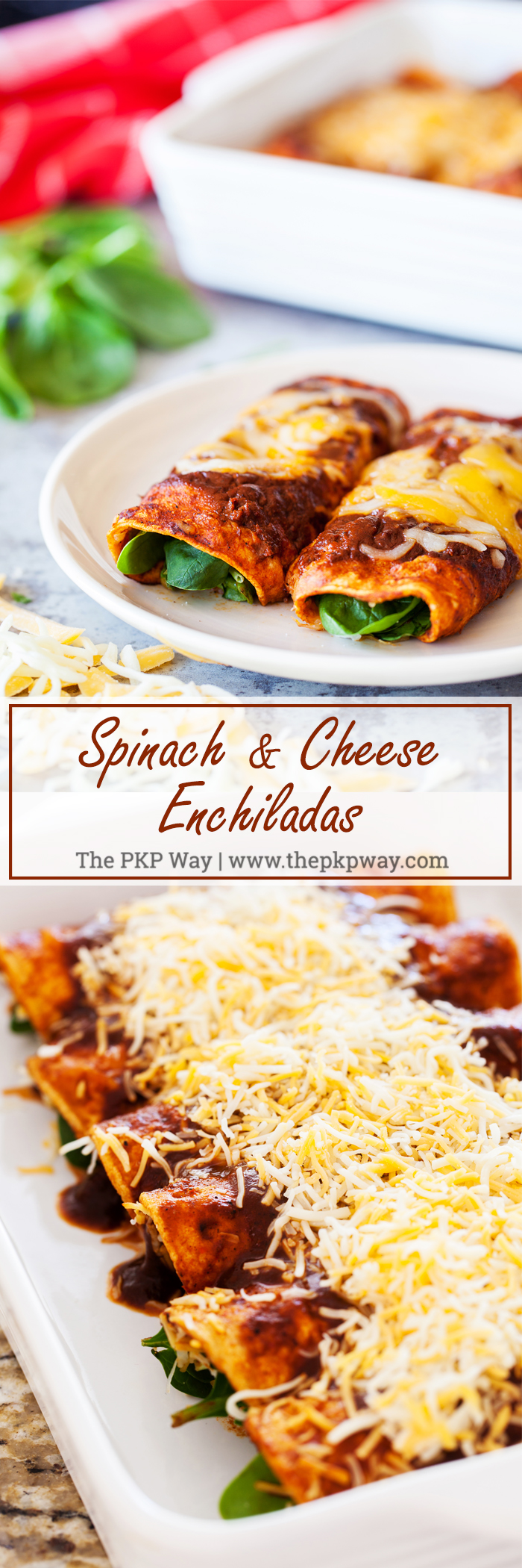 Spinach and cheese enchiladas are a healthier twist on a Mexican favorite. Spinach and cheese filling wrapped in a corn tortilla and doused with an authentic red enchilada sauce.