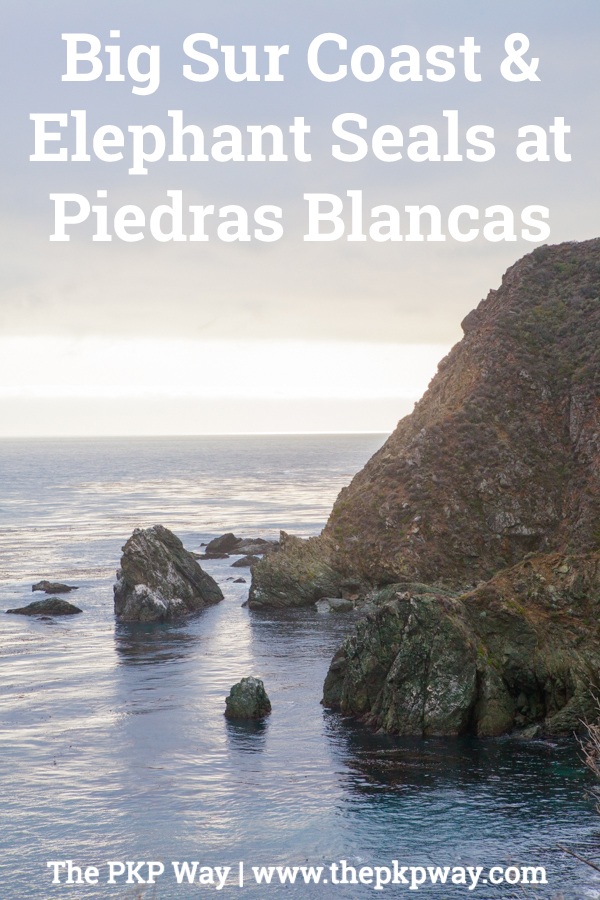 Big Sur Piedras Blancas