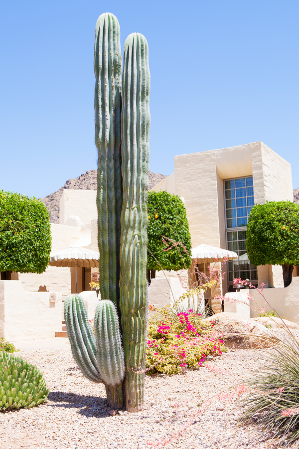 All the amenities that need to be taken advantage of at JW Marriott Camelback Inn Resort & Spa. And the best part is, most are already included!