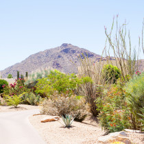 For our second wedding anniversary, we went to Scottsdale, Arizona and stayed at the amazing JW Marriott Camelback Inn Resort & Spa. Join me as I give a tour of the property, share our experiences with the resort, help you decide where to eat, and tell you all about how we got around!