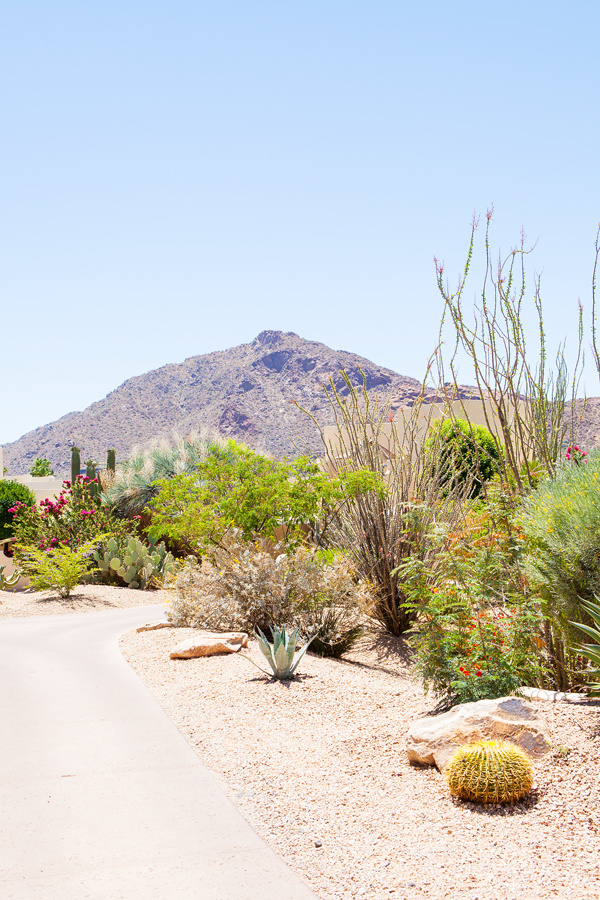 For our second wedding anniversary, we went to Scottsdale, Arizona and stayed at the amazing JW Marriott Camelback Inn Resort & Spa. Join me as I give a tour of the property, share our experiences with the resort, help you decide where to eat, and tell you all about how we got around!