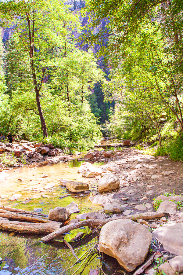 A day of Hiking in Sedona, Arizona - where to stop and which trails to hike. 