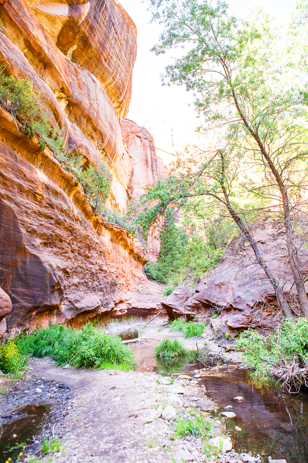 A day of Hiking in Sedona, Arizona - where to stop and which trails to hike. 