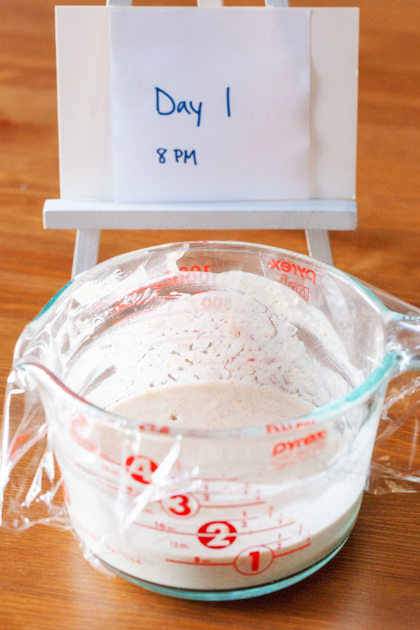 A guide to making your very own Sourdough Starter and a free printable schedule!