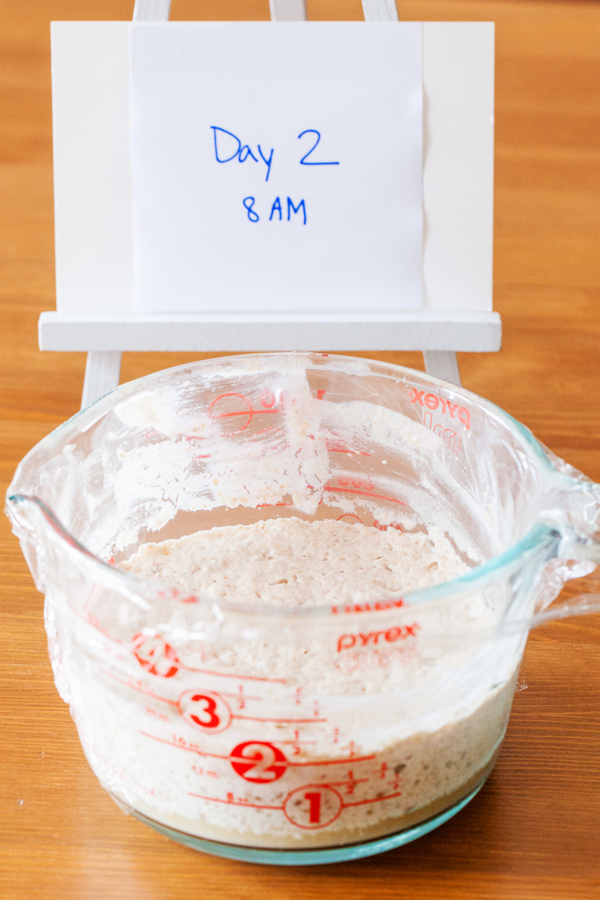 A guide to making your very own Sourdough Starter and a free printable schedule!