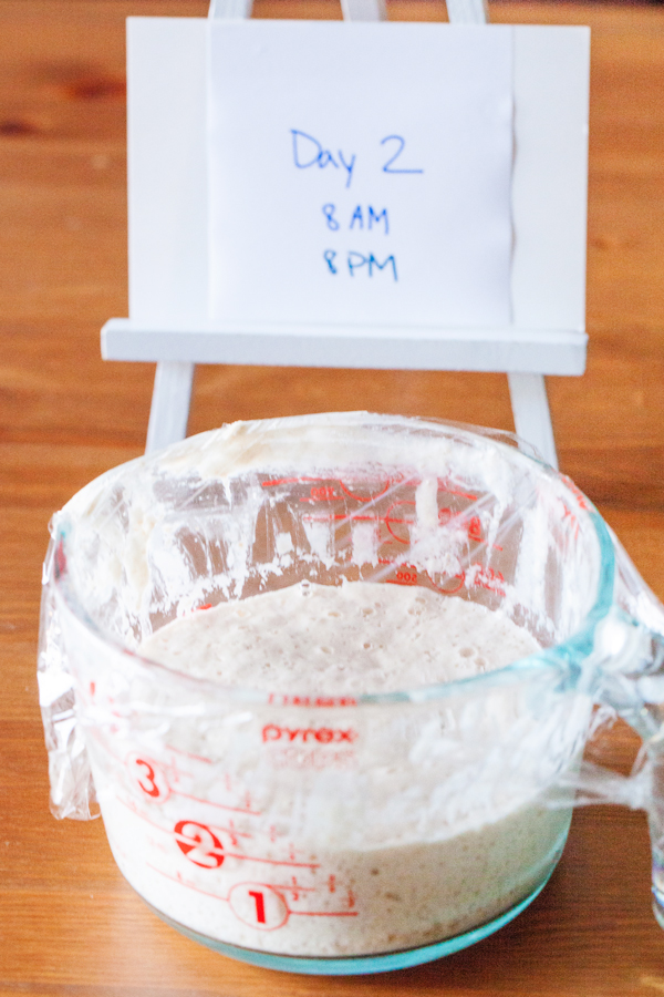 A guide to making your very own Sourdough Starter and a free printable schedule!