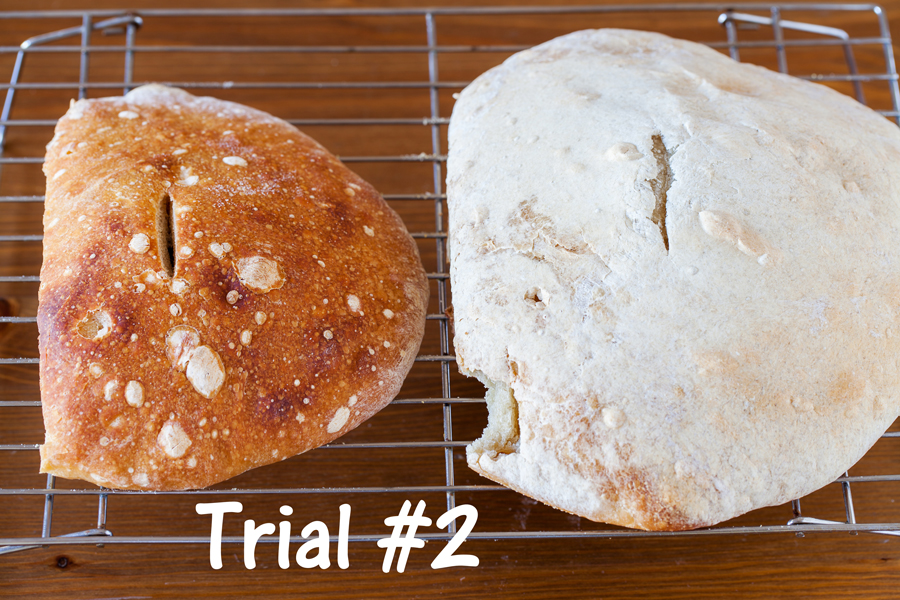 Learn to bake Sourdough Bread from scratch.