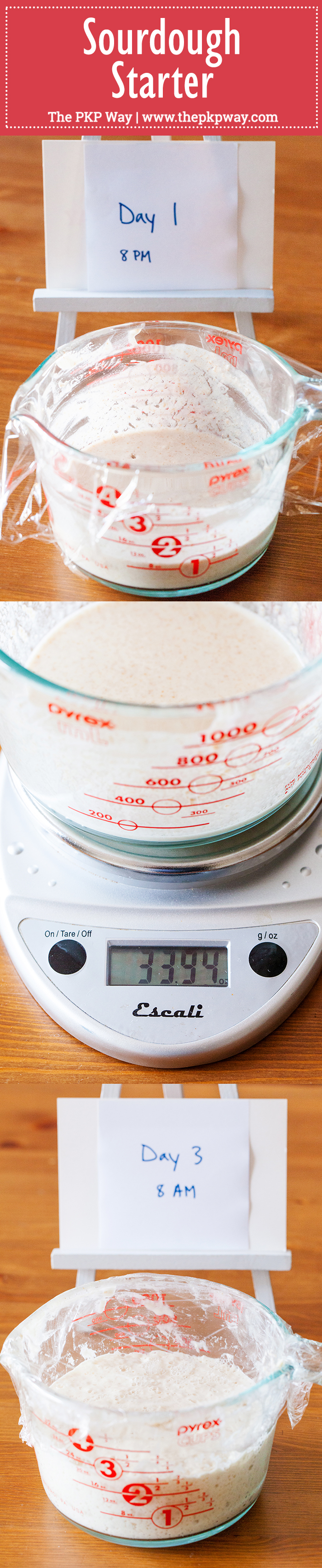 A guide to making your very own Sourdough Starter and a free printable schedule!