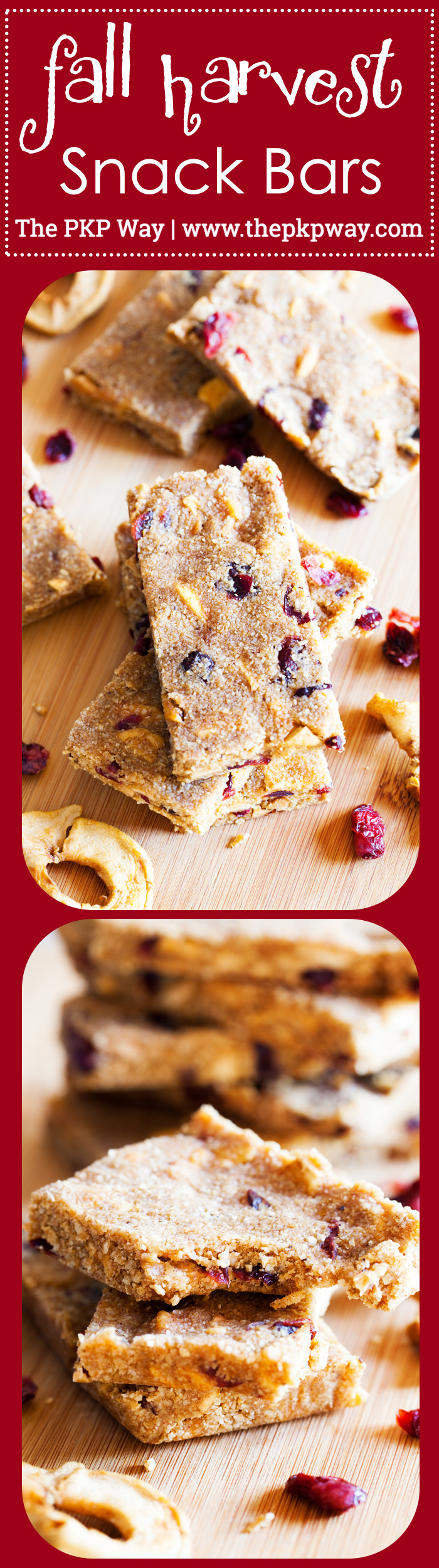 Pumpkin, apples, and cranberries, these Fall Harvest Snack Bars have all the best flavors of Fall.