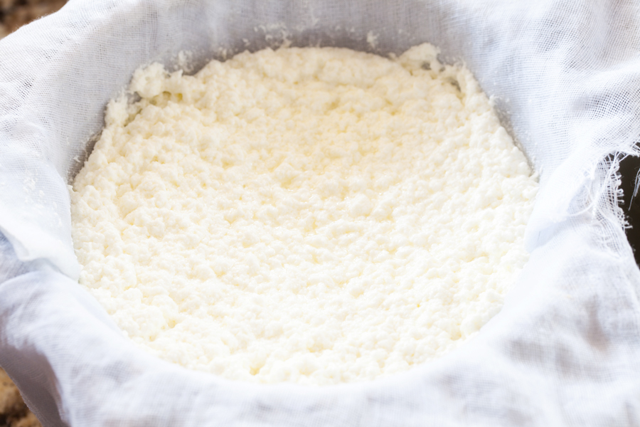 Enjoy ricotta cheese the way you like it. Control the creaminess, wetness, and salt content of ricotta cheese by learning How to Make Ricotta Cheese at home.