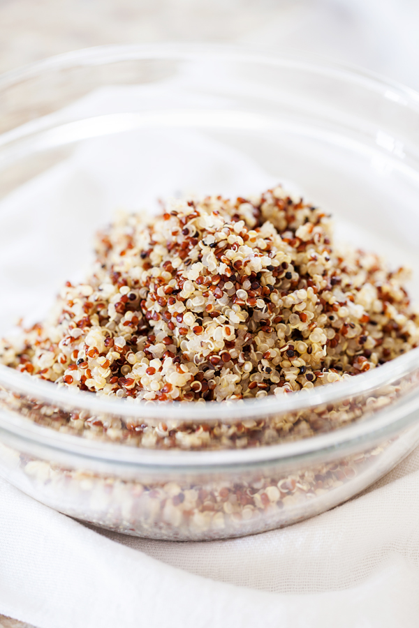 Cooked quinoa in a bowl. 