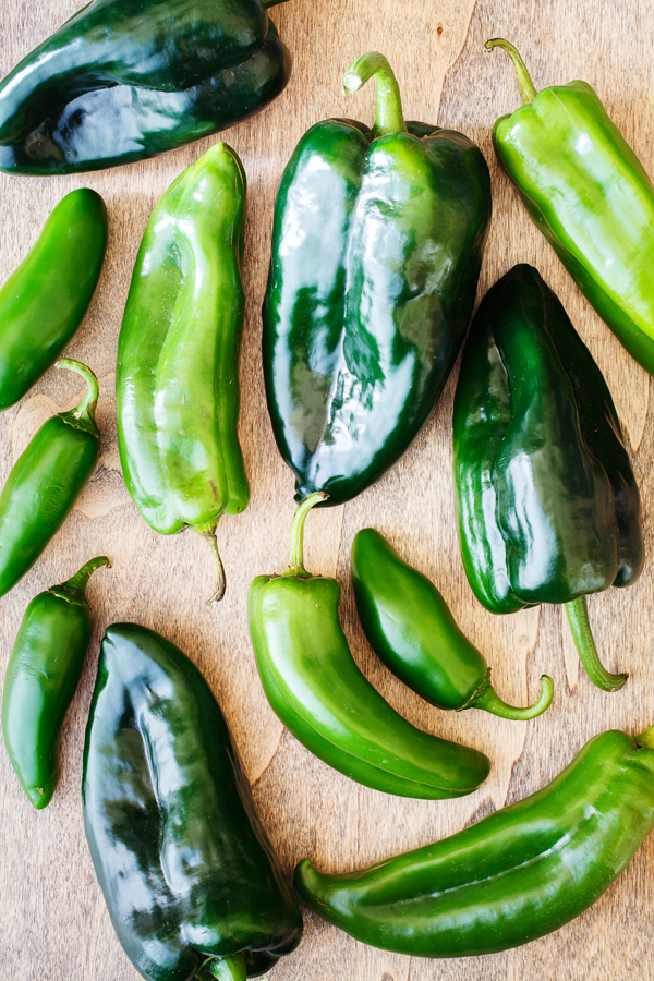 Birds-eye view of jalapeno, Poblano, and Anaheim chilies. 
