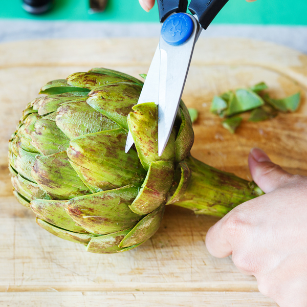 Trimming the top tips of artichoke leaves. 